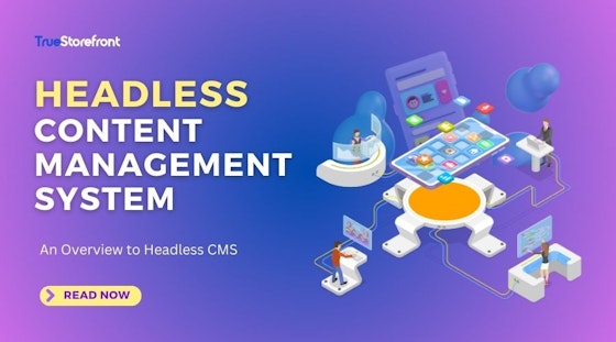Comprehensive Guide to Headless CMS